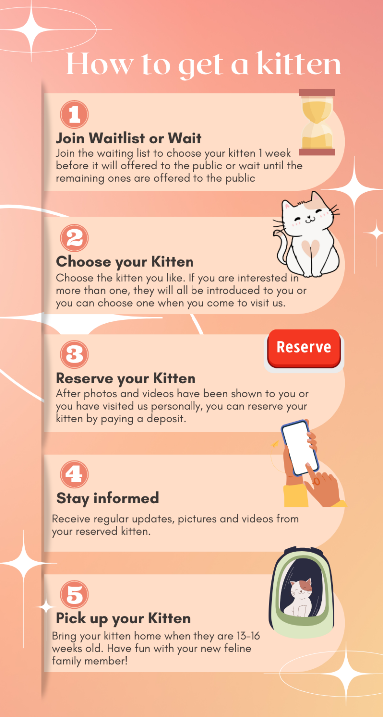 Pink Aesthetic Productive Infographic12
