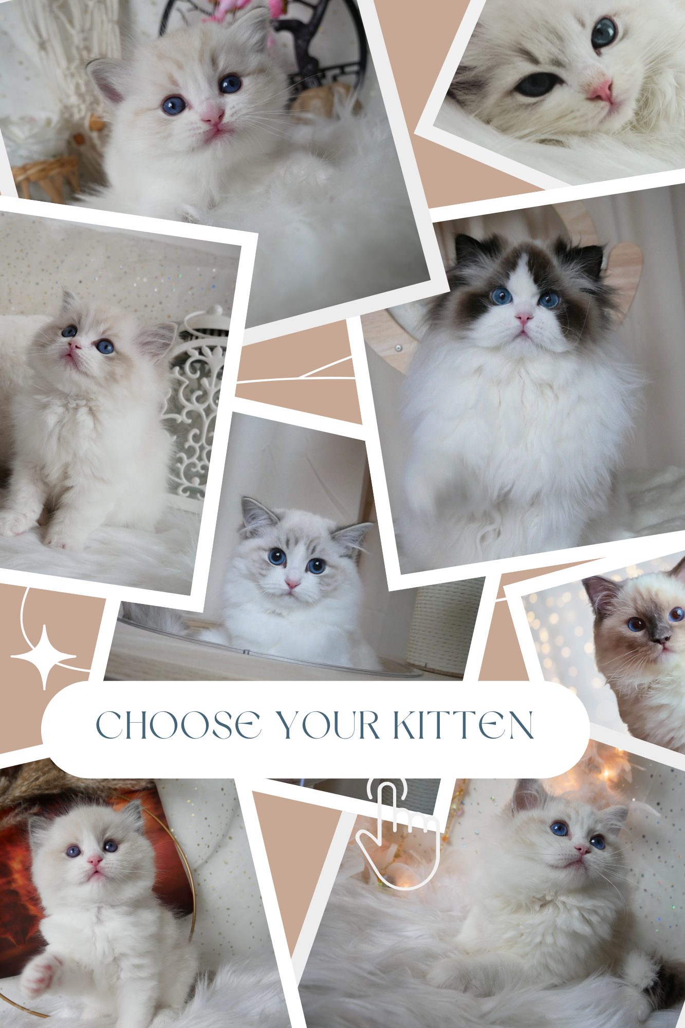 Modern Aesthetic Portrait Photography Mood Board Photo Collage